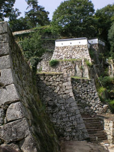 IMGP1470.jpg