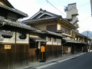 IMGP1486.jpg