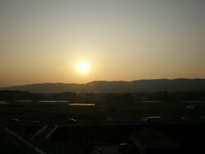 IMGP2142.jpg