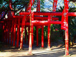 zinzya02.JPG