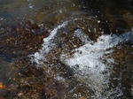 kawa02.JPG