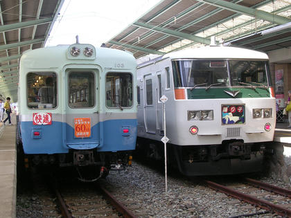 JR185系と伊豆急行100系