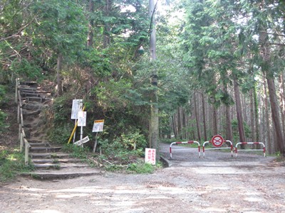 登山道と林道の分岐