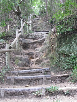 急なのぼり（登山道側から）