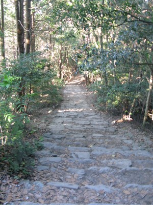 鳥居から下り方向