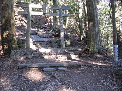 新45丁目の鳥居