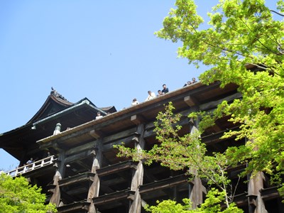 清水の舞台の下から