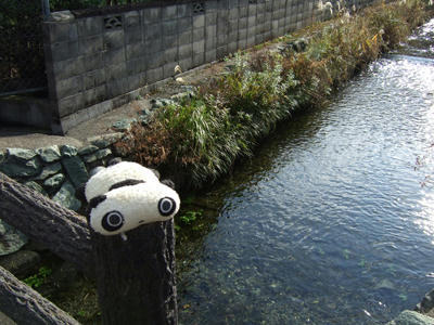 ほたるの里のきれいな水