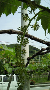 090526a.jpg
