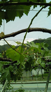 090526b.jpg
