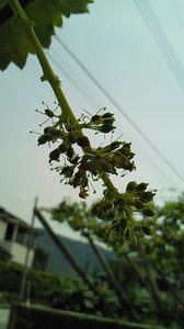 090526c.jpg