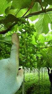 090610b.jpg