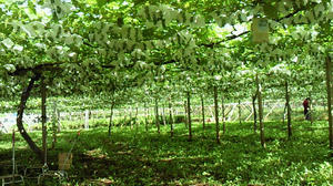 090612b.jpg