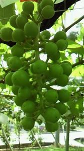 090615b.jpg