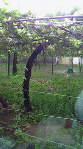 090616a.jpg