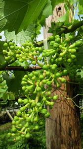 090619a.jpg