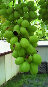 090701a.jpg