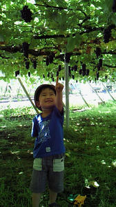 090804b.jpg