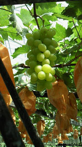 090813a.jpg