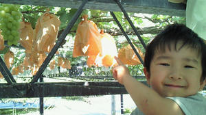 090813b.jpg