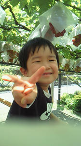 090818b.jpg