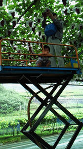 090831a.jpg
