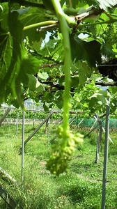 201006021424000.jpg
