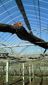 201104061525001.jpg