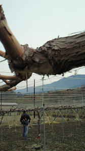 201203070957000.jpg
