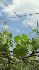 201205211019000.jpg