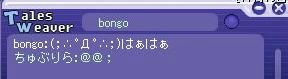 bongo1_1115