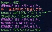 bongo2_1115