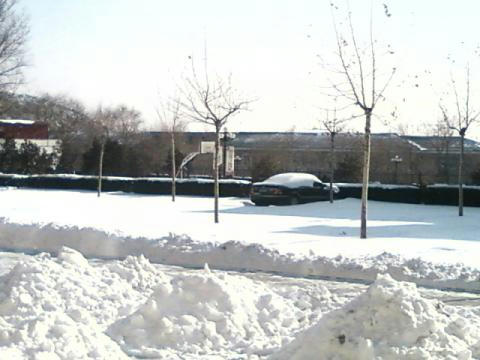 20100104211123fbas.jpg