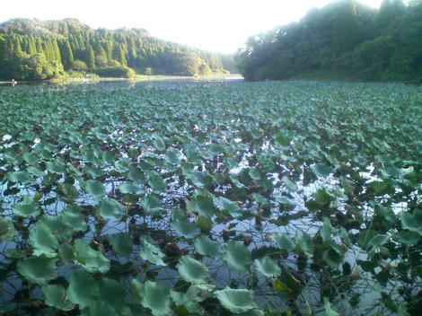 P1000033.JPG