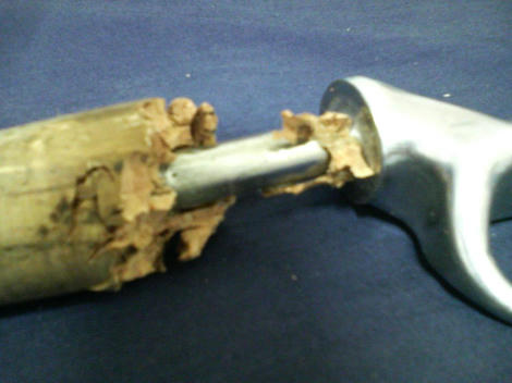 862d948cjpeg