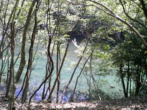 P1000031.JPG