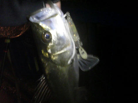 p1000018.JPG