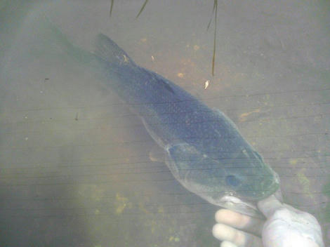 0a626f16.JPG