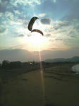 101107h-ms50kb.jpg