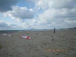 IMGP0244s80kb.jpg