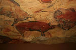 Reproduction_cave_of_Altamira_01s1024pix100kb.jpg