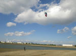 IMGP0678-s.jpg