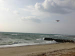 130207s-1-s.jpg