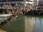 130220m2-s.jpg