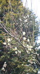 20080222