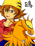 bba1137b.png