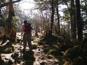まぶしく光る山頂の広場。