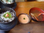 shirasu.jpg