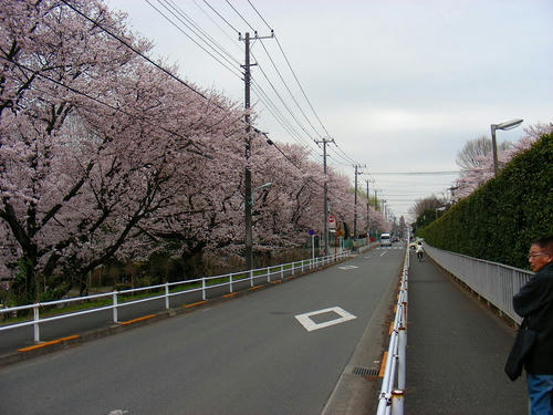 DSCN1392.jpg