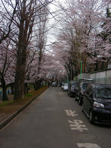 DSCN1393.jpg